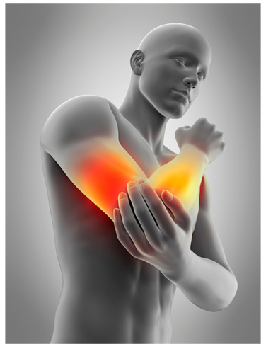 Maria Ciaccio Bowen3